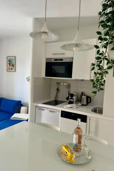 Appartement climatisé vue baie Cap Ferrat, 300m plage : photo 5
