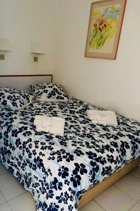 Appartement climatisé vue baie Cap Ferrat, 300m plage : photo 7
