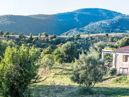 Maison rustique au Golfe de Valinco, 5 km de la plage : photo 22