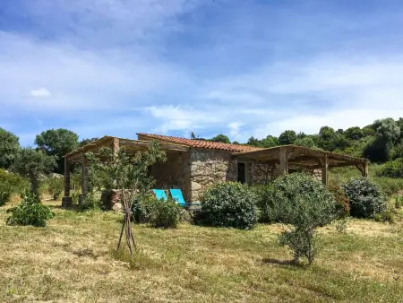 Maison rustique au Golfe de Valinco, 5 km de la plage : photo 23