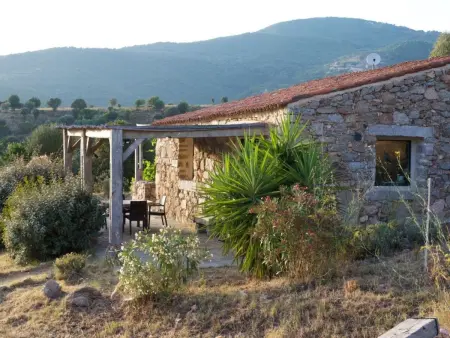 Maison rustique au Golfe de Valinco, 5 km de la plage : photo 26