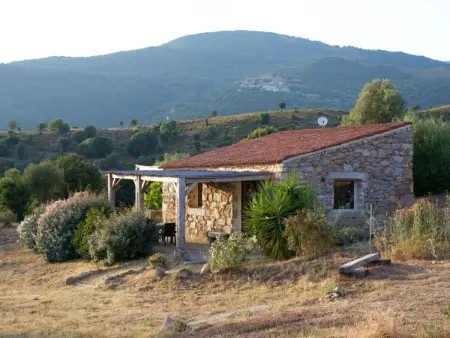 Maison rustique au Golfe de Valinco, 5 km de la plage : photo 27