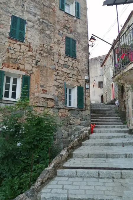 Appartement Olmeto, vue golfe du Valinco à 10mn des plages : photo 11