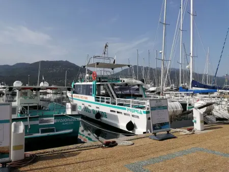 Appartement Olmeto, vue golfe du Valinco à 10mn des plages : photo 15