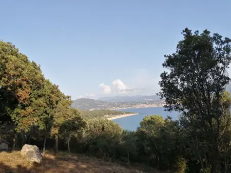 Appartement Olmeto, vue golfe du Valinco à 10mn des plages : photo 16
