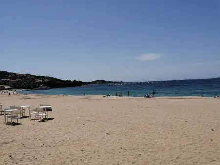 Appartement Olmeto, vue golfe du Valinco à 10mn des plages : photo 20