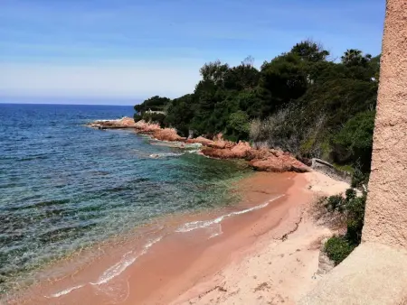 Appartement Olmeto, vue golfe du Valinco à 10mn des plages : photo 22
