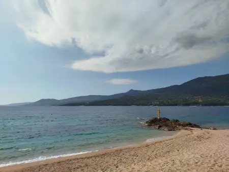 Appartement Olmeto, vue golfe du Valinco à 10mn des plages : photo 24