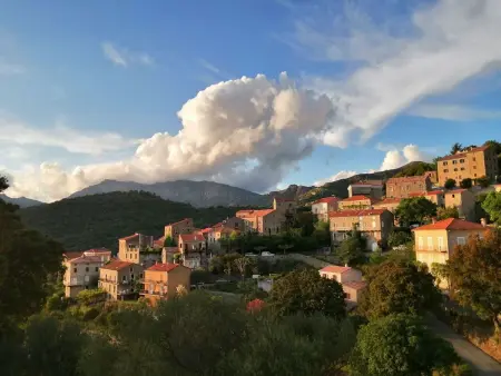 Appartement Olmeto, vue golfe du Valinco à 10mn des plages : photo 25
