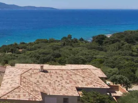 Villa des Plages-Valinco, vue mer à 250m de la plage : photo 2