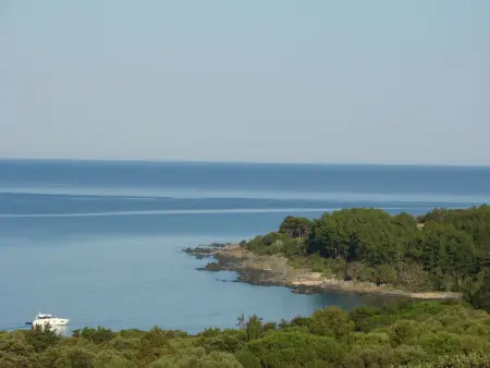 Villa des Plages-Valinco, vue mer à 250m de la plage : photo 3