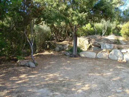 Villa des Plages-Valinco, vue mer à 250m de la plage : photo 17