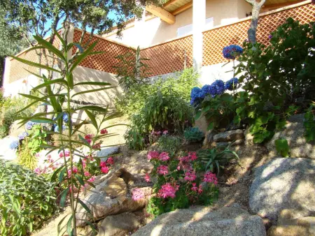 Villa des Plages-Valinco, vue mer à 250m de la plage : photo 19