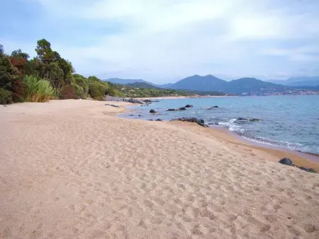 Villa des Plages-Valinco, vue mer à 250m de la plage : photo 21