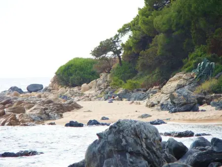 Villa des Plages-Valinco, vue mer à 250m de la plage : photo 22