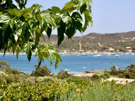 Maison vue mer à Bonifacio, 500 m de la plage : photo 18
