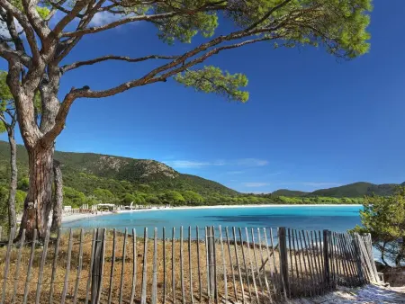 Maison vue mer à Bonifacio, 500 m de la plage : photo 22
