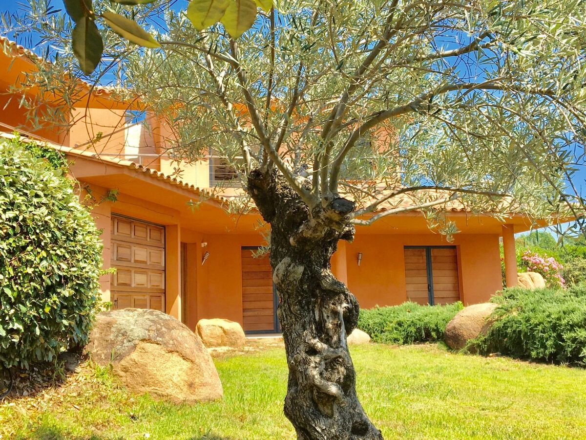 Villa Santa Giulia - 4 suites avec piscine chauffée - Photo 1