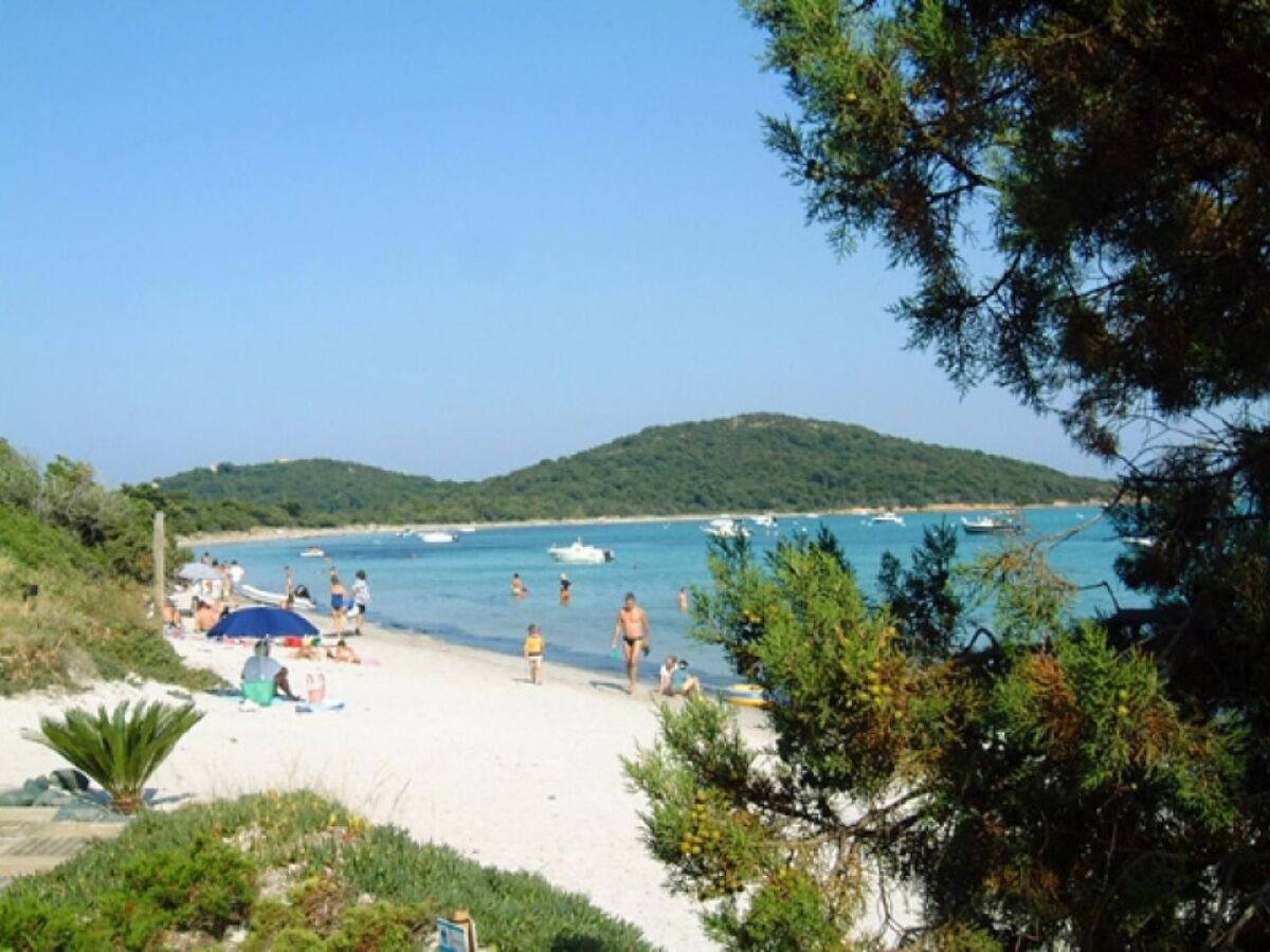 Maison 1 chambre à 800 m de la plage, Porto-Vecchio - Photo 12
