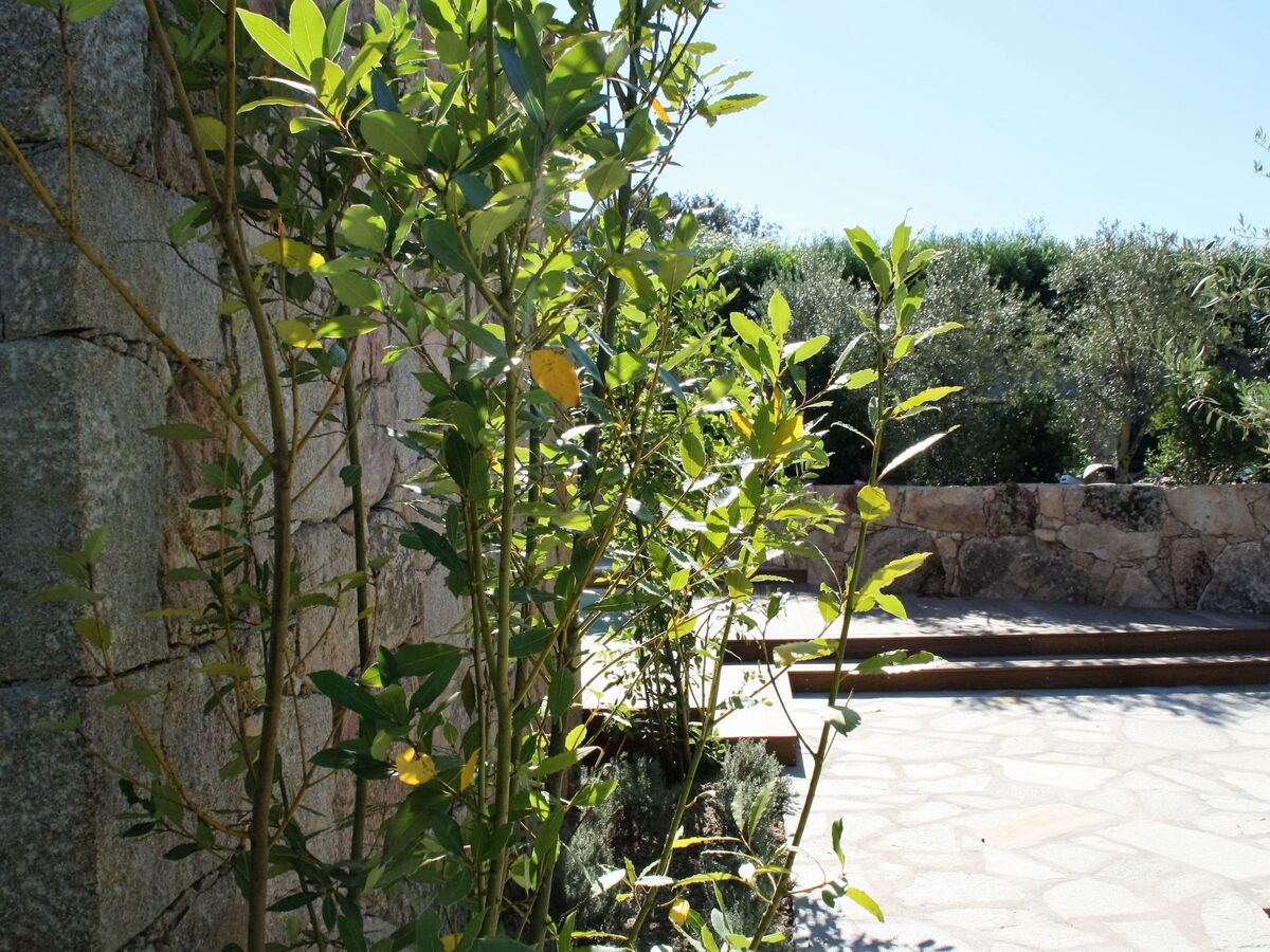 Villa Bergerie 3 chambres, piscine chauffée à 2,5km de Santa Giulia - Photo 46