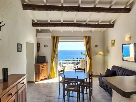 Appartement 45 m² vue mer, piscine chauffée à Conca : photo 5