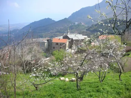 Sole e Ventu, 70m² avec vue mer et montagne : photo 15
