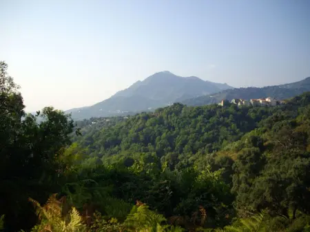 Sole e Ventu, 70m² avec vue mer et montagne : photo 21