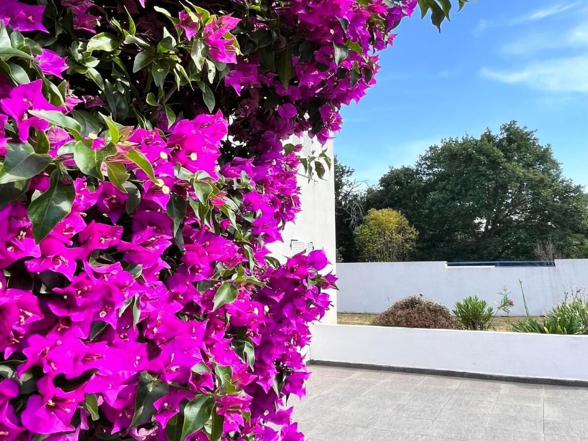 Résidence Amanda, appartement 65m² avec piscine à Moriani-Plage - Photo 4