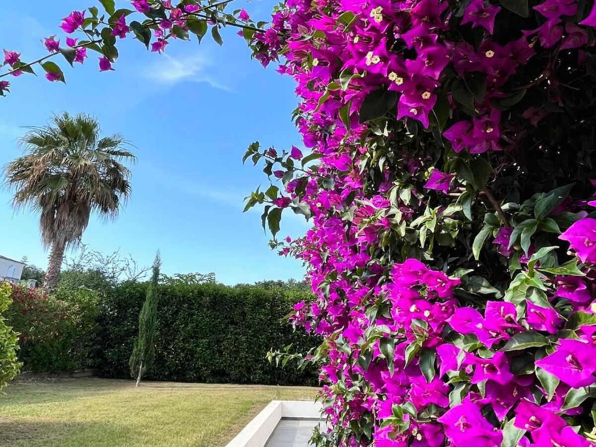 Résidence Amanda, appartement 65m² avec piscine à Moriani-Plage - Photo 21