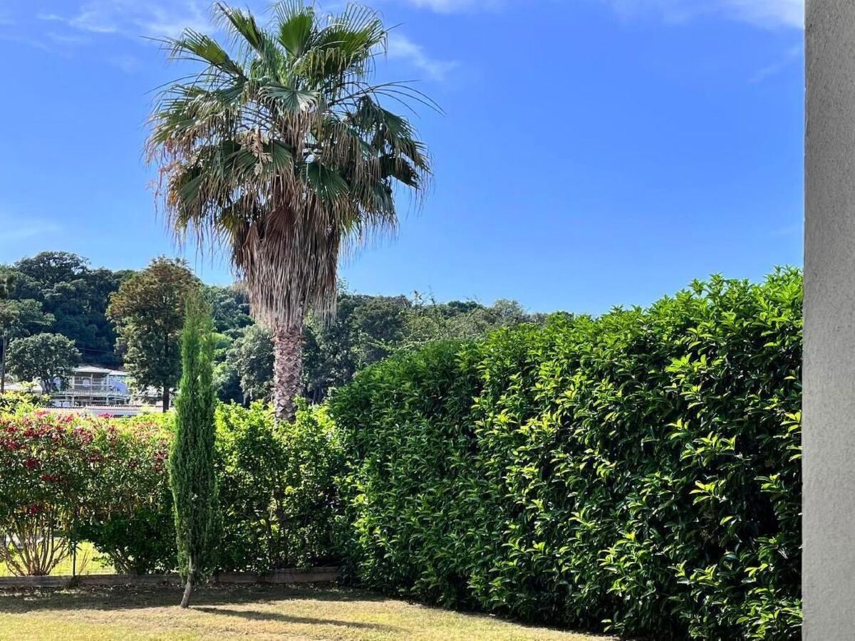 Résidence Amanda, appartement 65m² avec piscine à Moriani-Plage - Photo 34