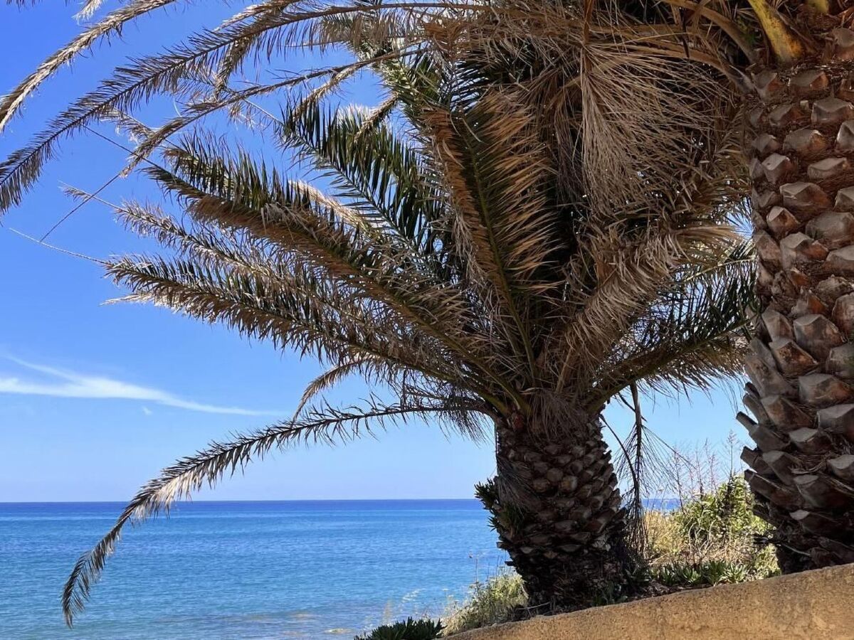 Résidence Amanda, appartement 65m² avec piscine à Moriani-Plage - Photo 38