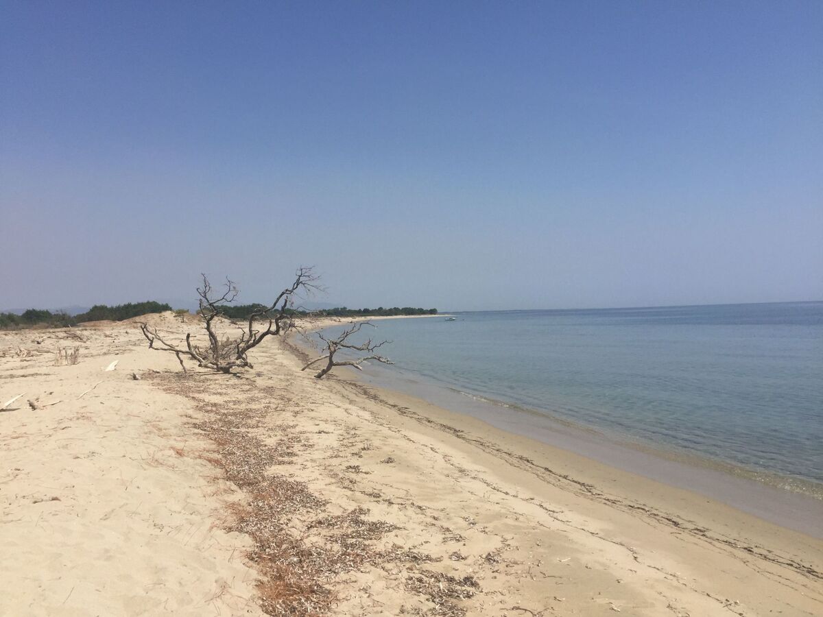 Villa 55 m² entre mer et montagne, 1,5 km de plage - Photo 16