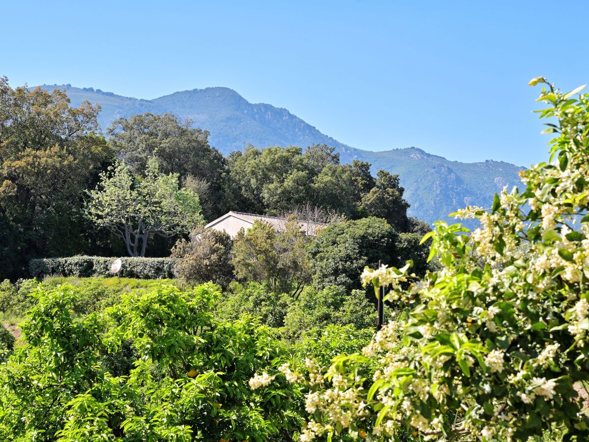 Maison L'Alivi, vue mer à Cervione, 6 personnes - Photo 15
