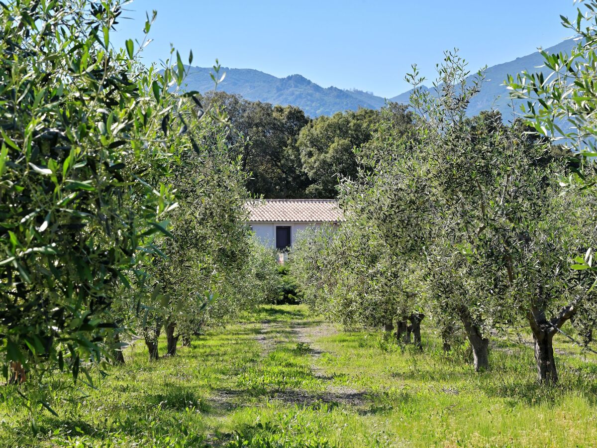 Maison L'Alivi, vue mer à Cervione, 6 personnes - Photo 16