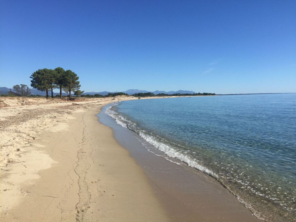 Maison L'Alivi, vue mer à Cervione, 6 personnes - Photo 18