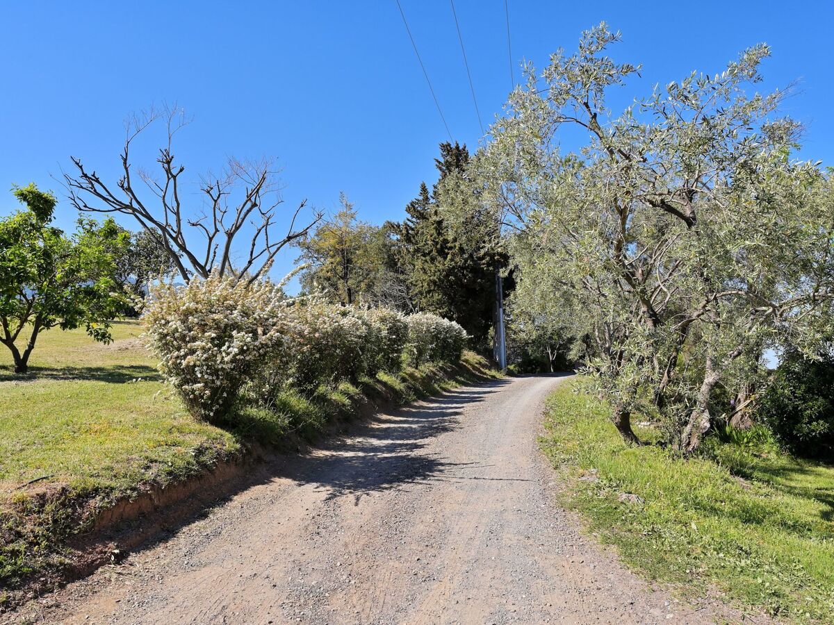 Maison L'Alivi, vue mer à Cervione, 6 personnes - Photo 19
