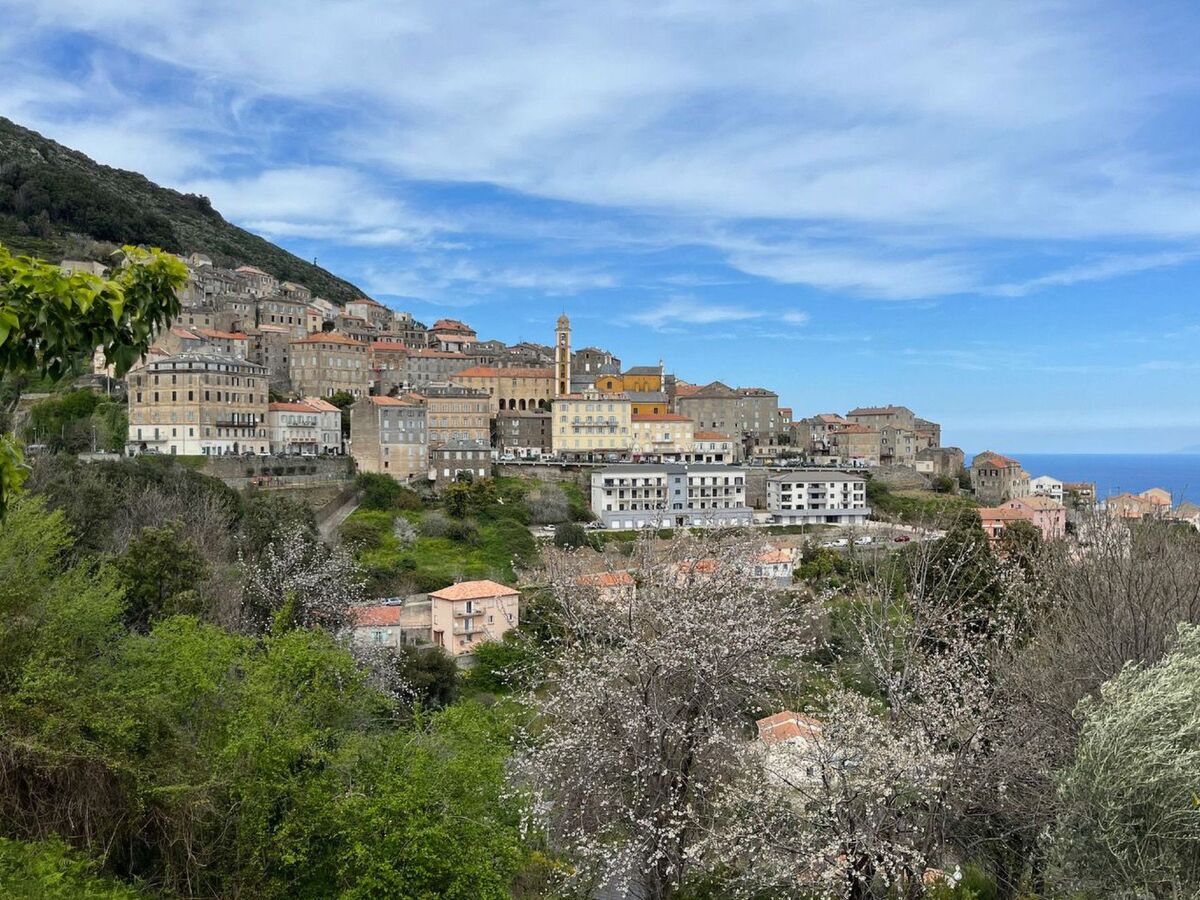 Maison L'Alivi, vue mer à Cervione, 6 personnes - Photo 21