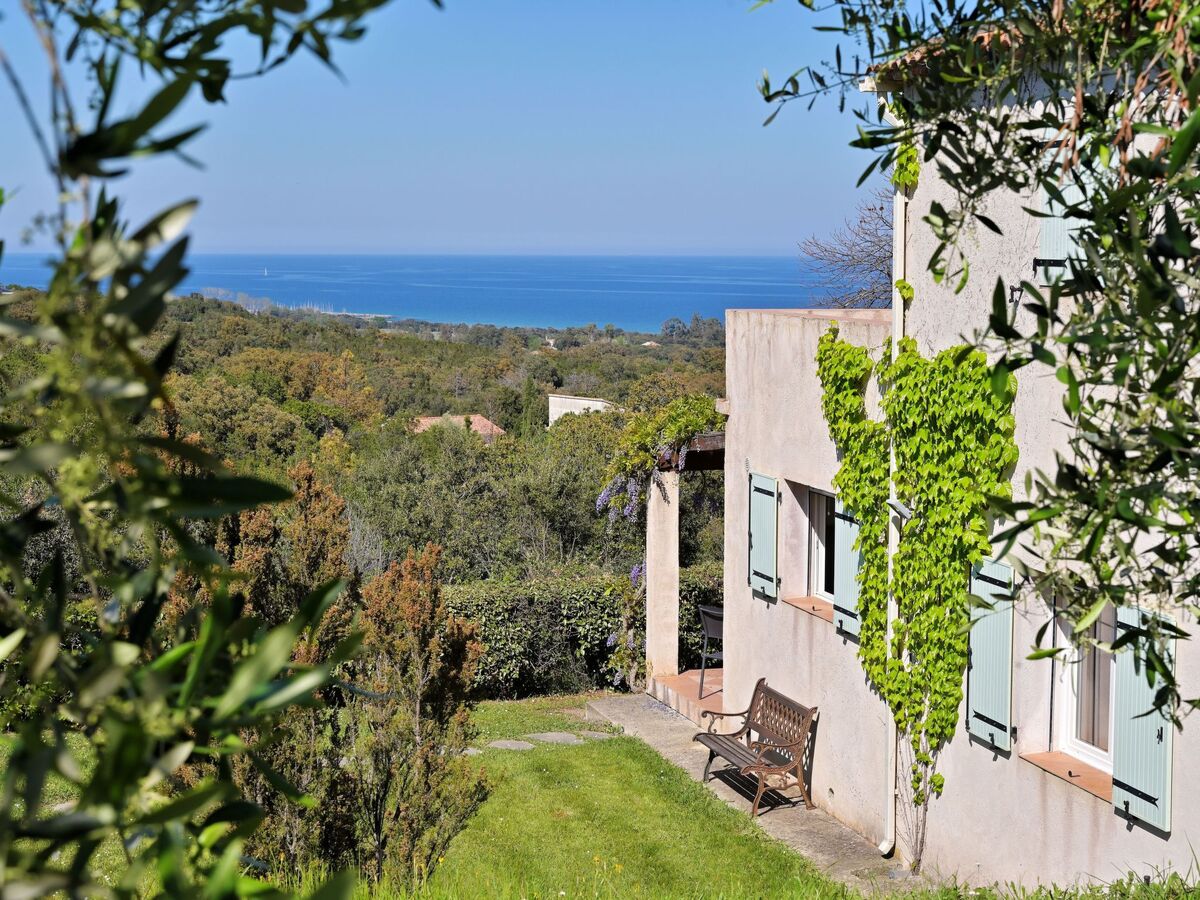 Maison Cervione vue mer, 3 chambres, 15 hectares - Photo 1