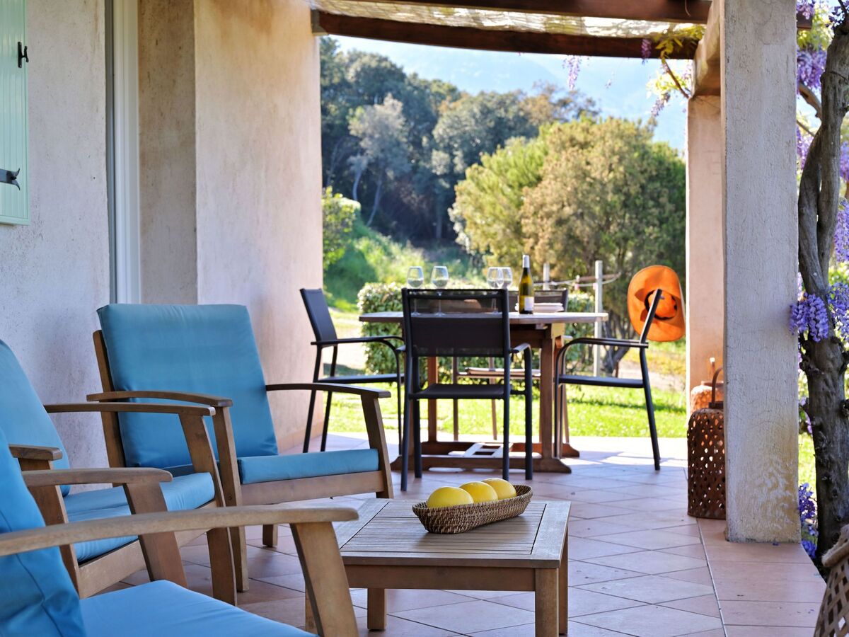 Maison Cervione vue mer, 3 chambres, 15 hectares - Photo 3