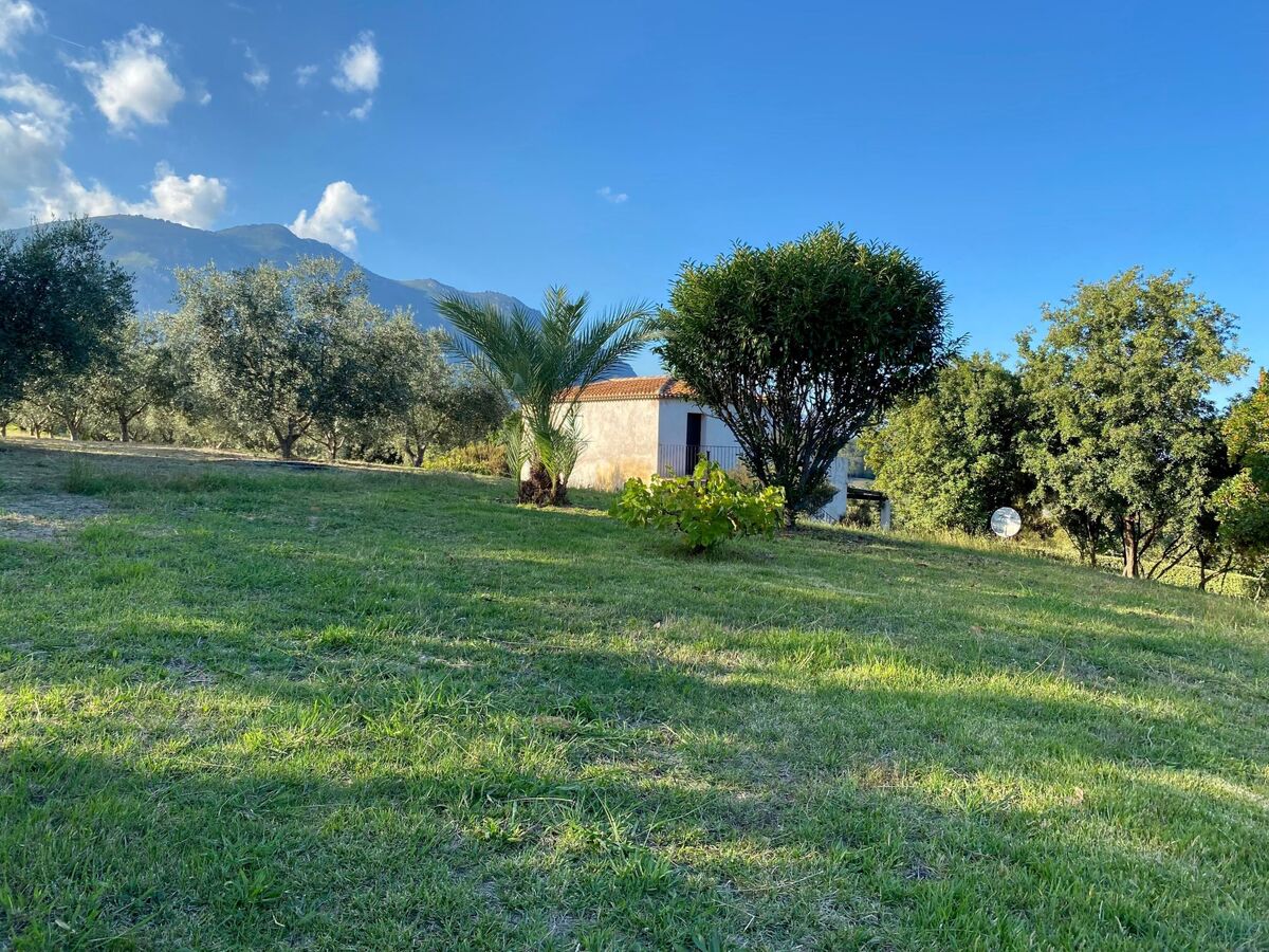 Maison Cervione vue mer, 3 chambres, 15 hectares - Photo 8