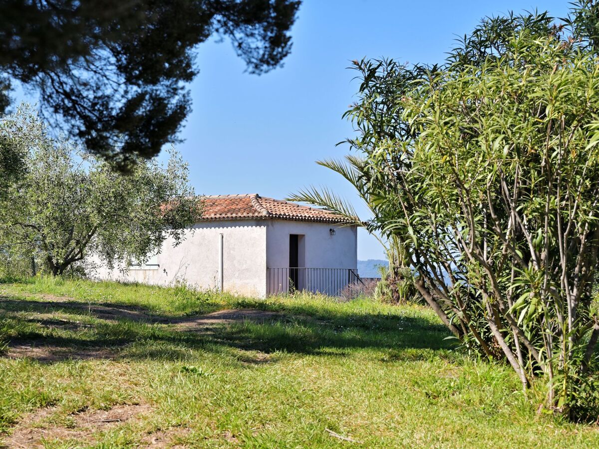 Maison Cervione vue mer, 3 chambres, 15 hectares - Photo 13