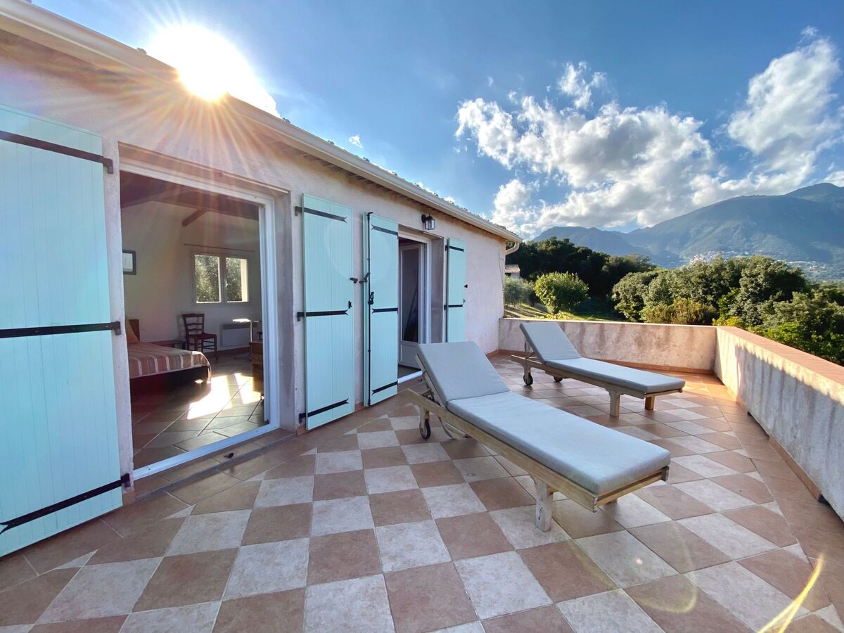 Maison Cervione vue mer, 3 chambres, 15 hectares - Photo 22