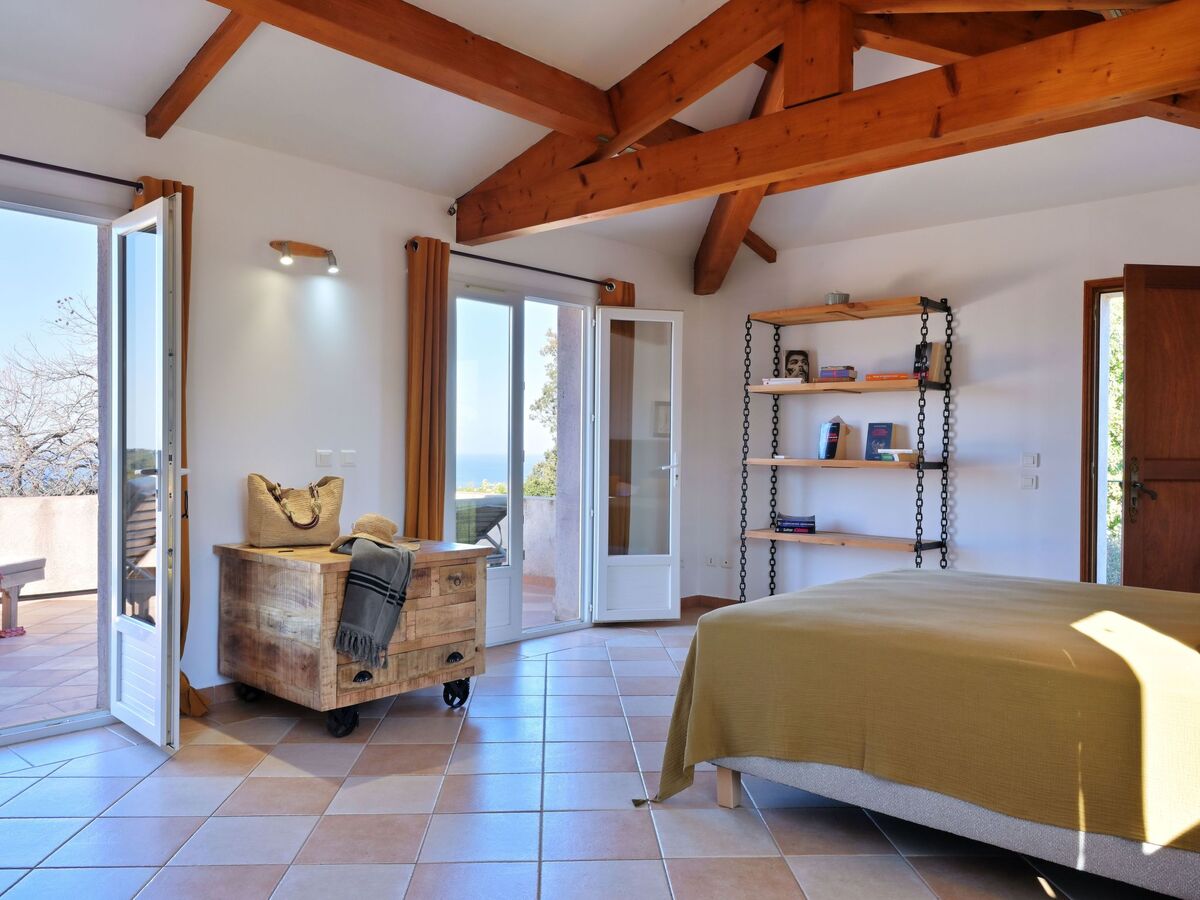 Maison Cervione vue mer, 3 chambres, 15 hectares - Photo 23