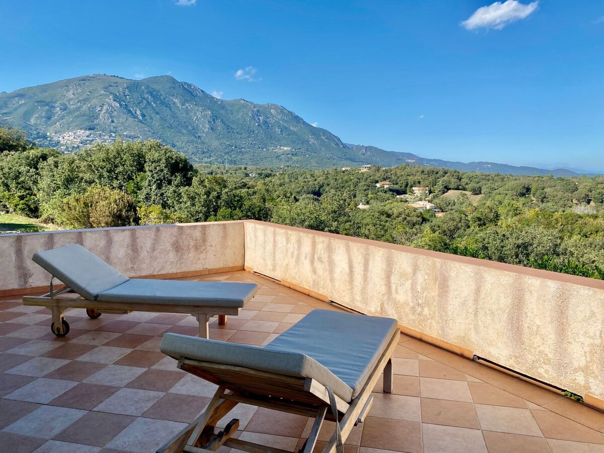 Maison Cervione vue mer, 3 chambres, 15 hectares - Photo 24