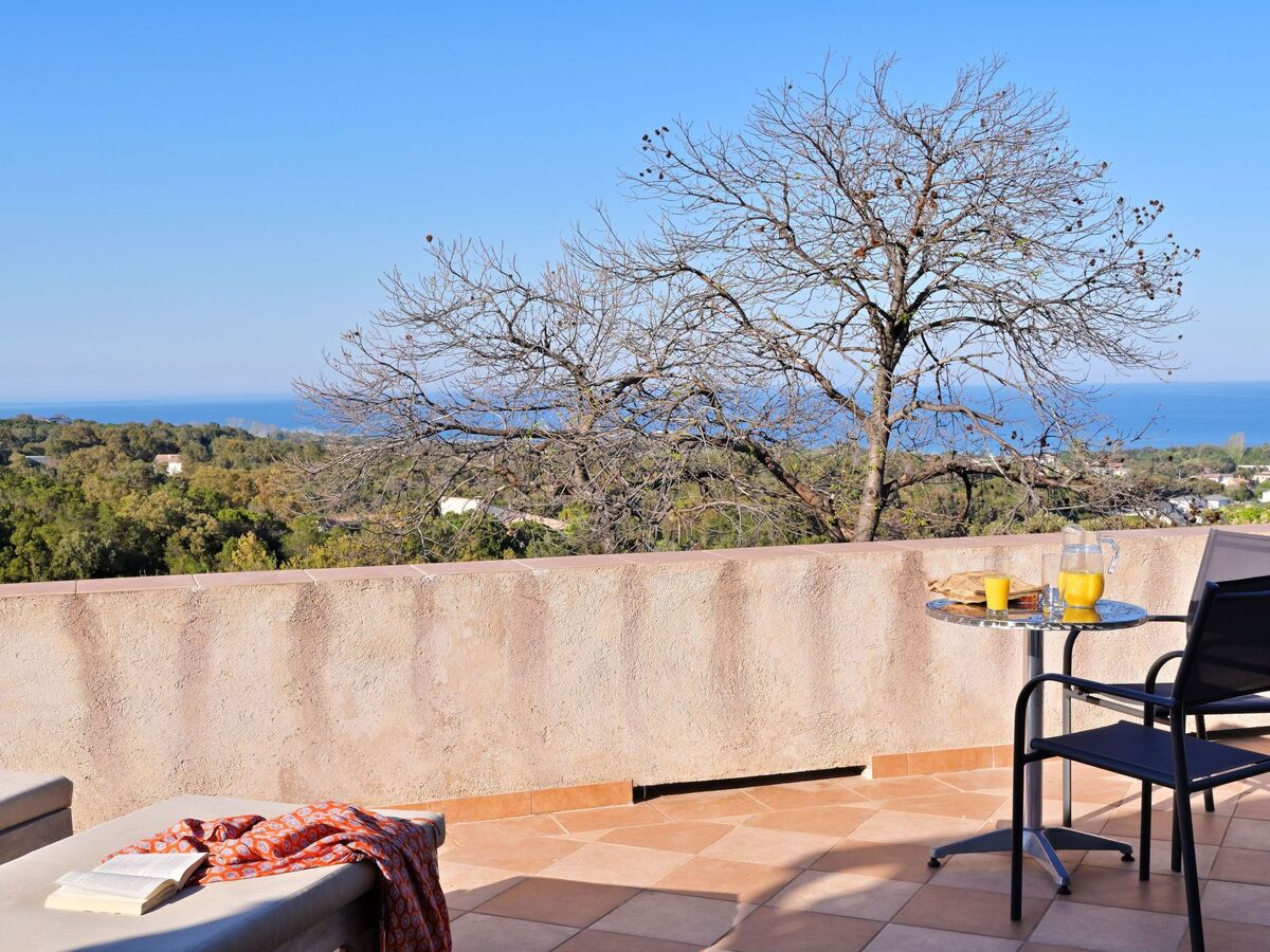 Maison Cervione vue mer, 3 chambres, 15 hectares - Photo 25