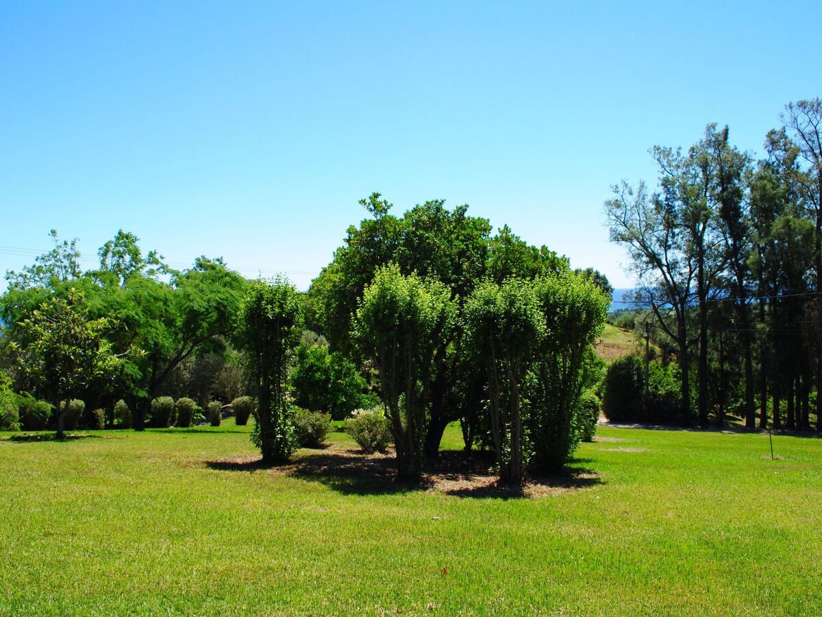 Maison Cervione vue mer, 3 chambres, 15 hectares - Photo 28