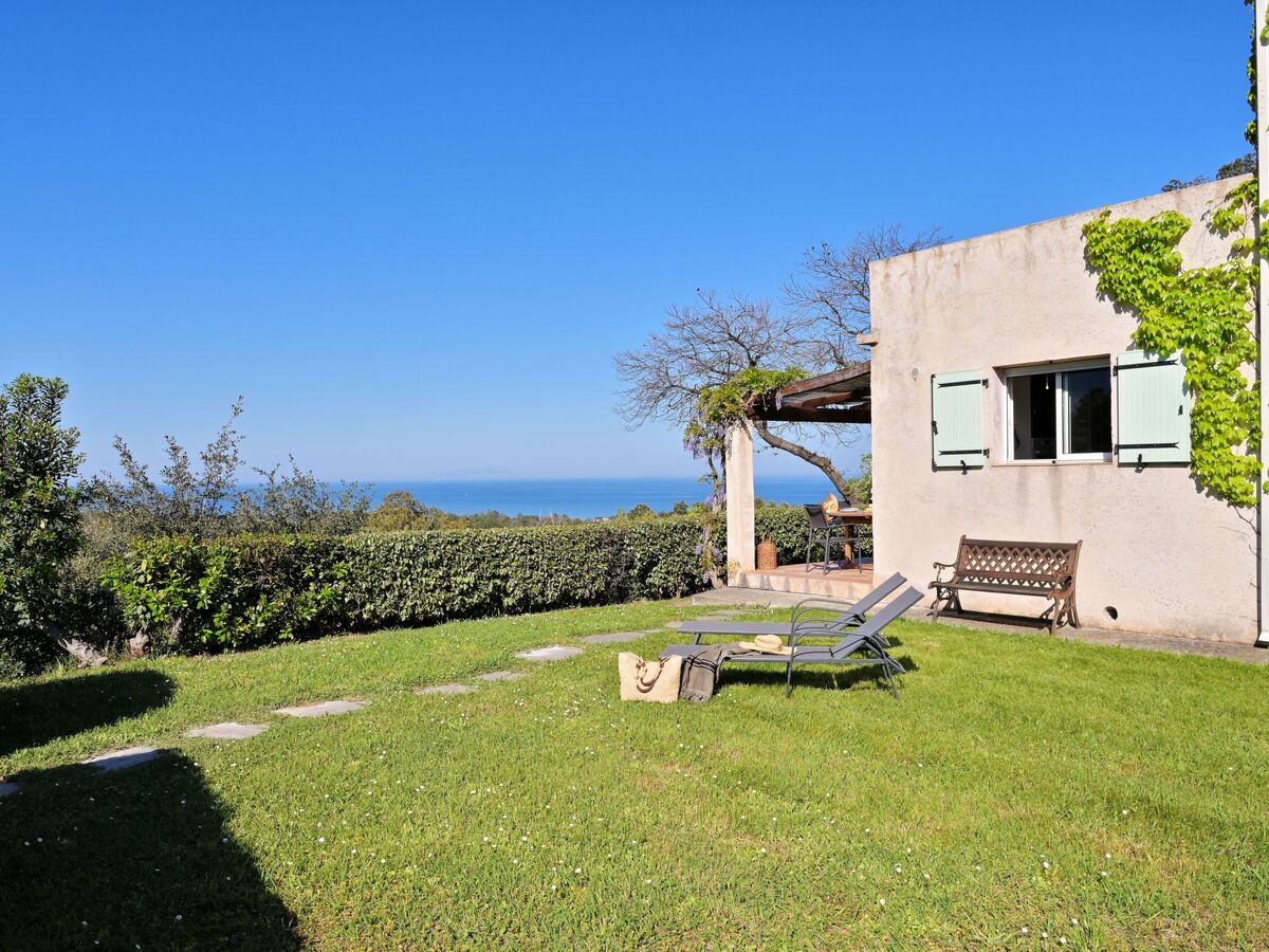 Maison Cervione vue mer, 3 chambres, 15 hectares - Photo 31