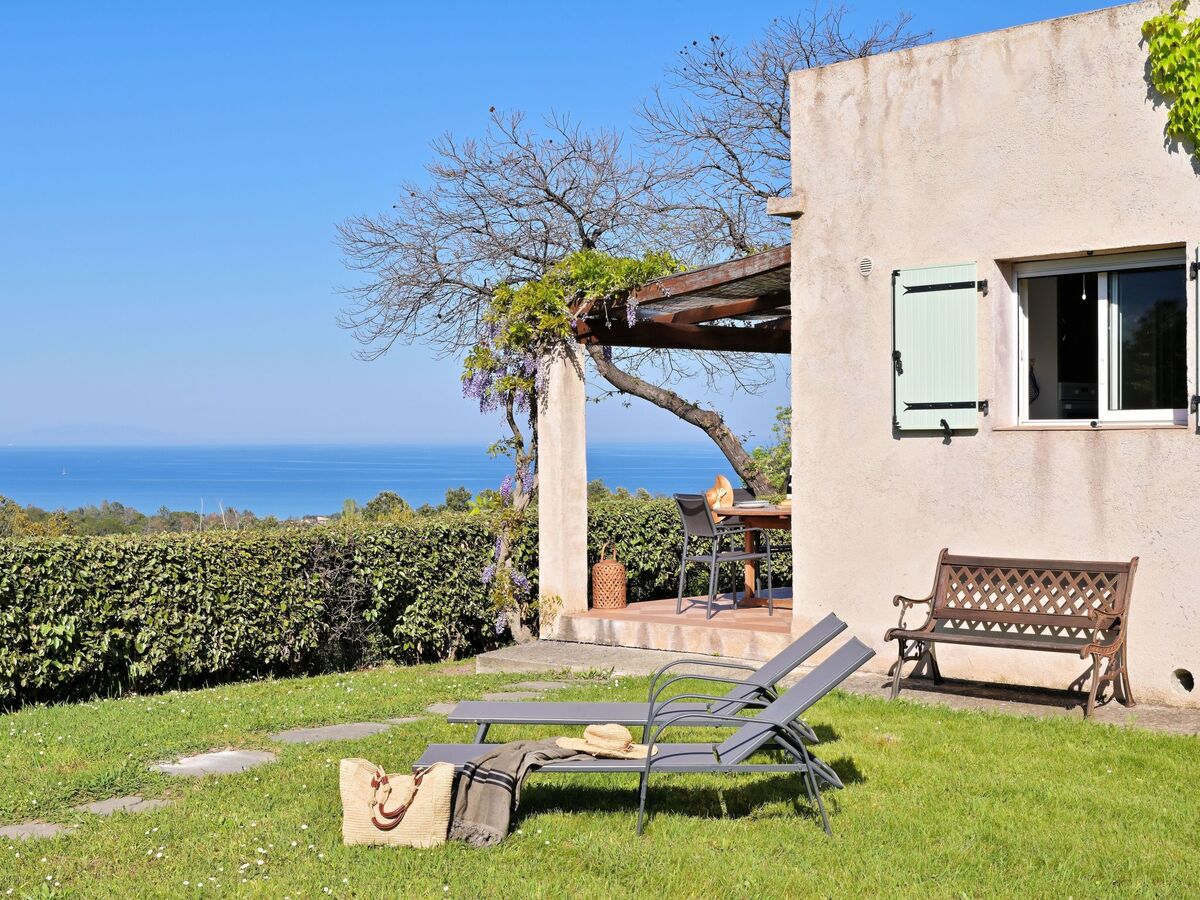 Maison Cervione vue mer, 3 chambres, 15 hectares - Photo 32