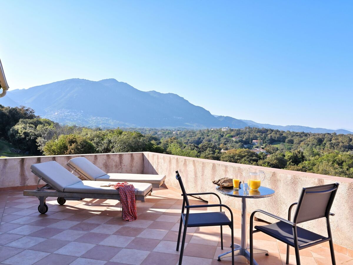 Maison Cervione vue mer, 3 chambres, 15 hectares - Photo 33