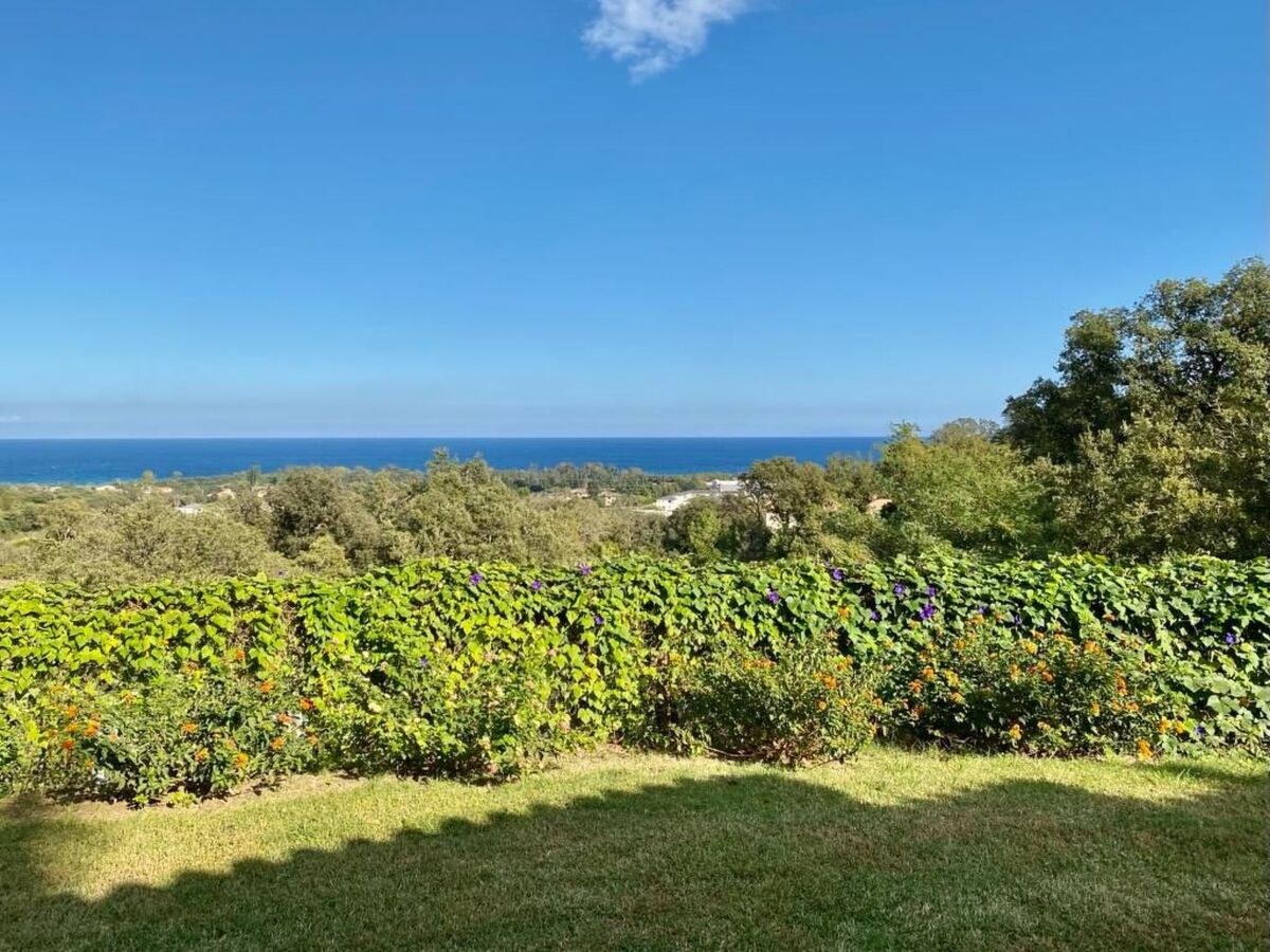 Maison 69 m² vue mer à Cervione, 1,5 km plage - Photo 18